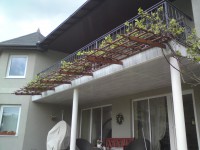 /album/a9/dsc01013-jpg/